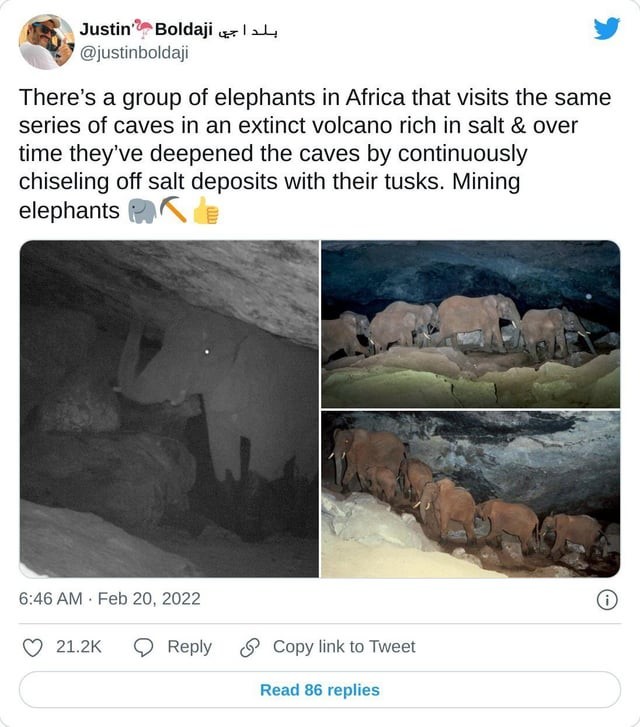 Mining elephants.jpg
